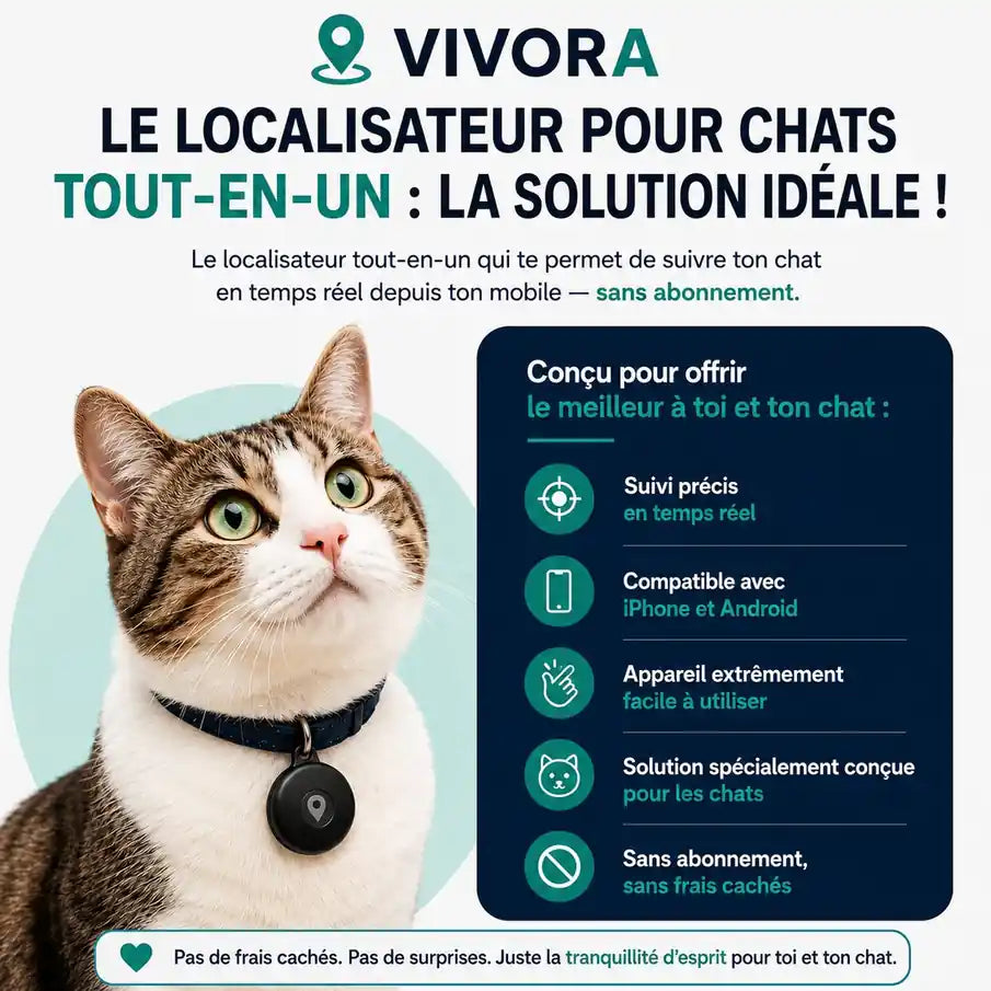 Traceur GPS pour chat – sans abonnement