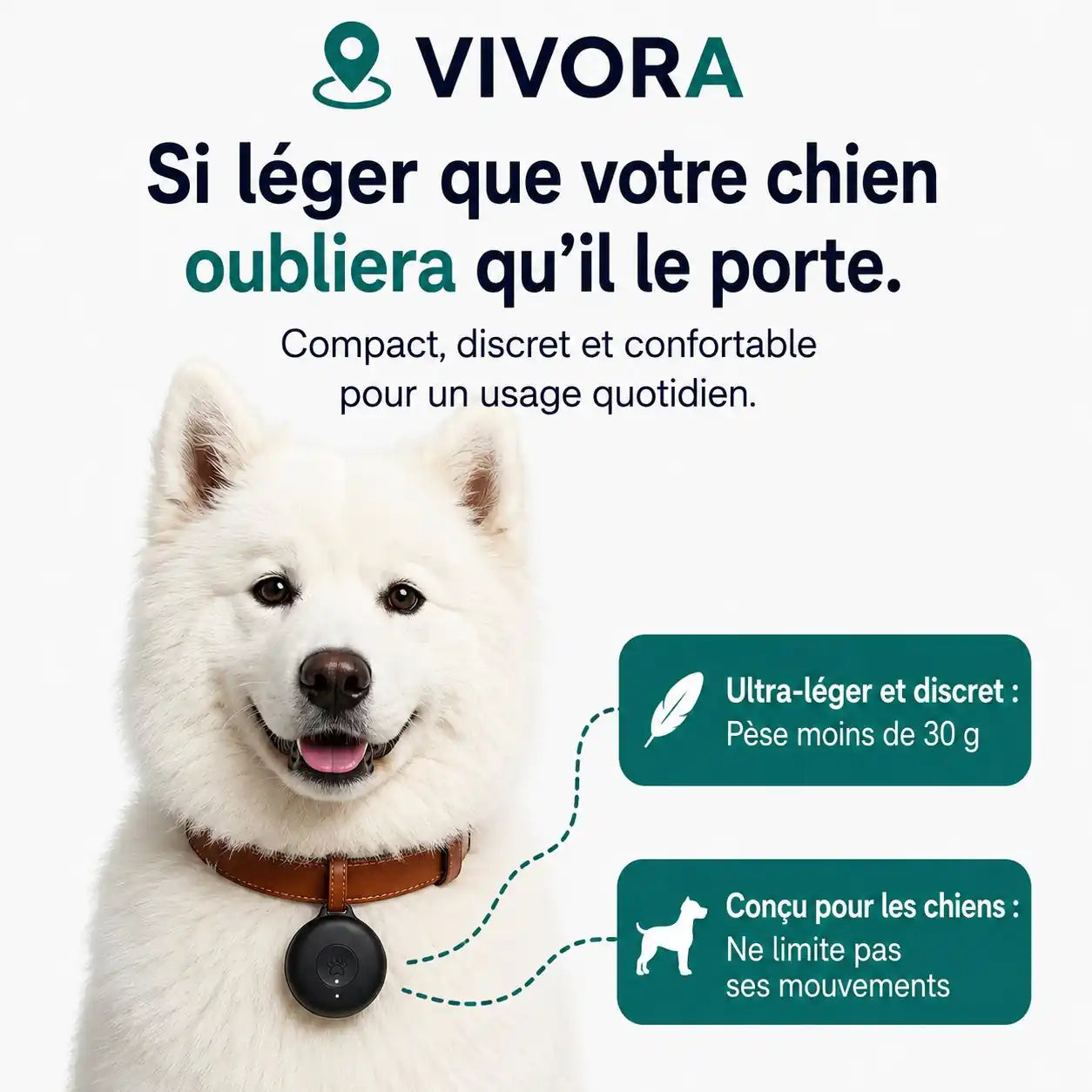 Traceur GPS pour chien – sans abonnement