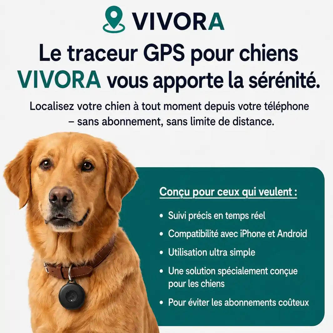 Traceur GPS pour chien – sans abonnement
