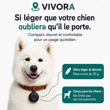 Traceur GPS pour chien – sans abonnement